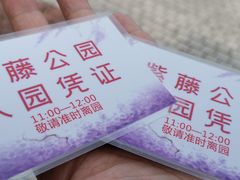 -嘉定紫藤园