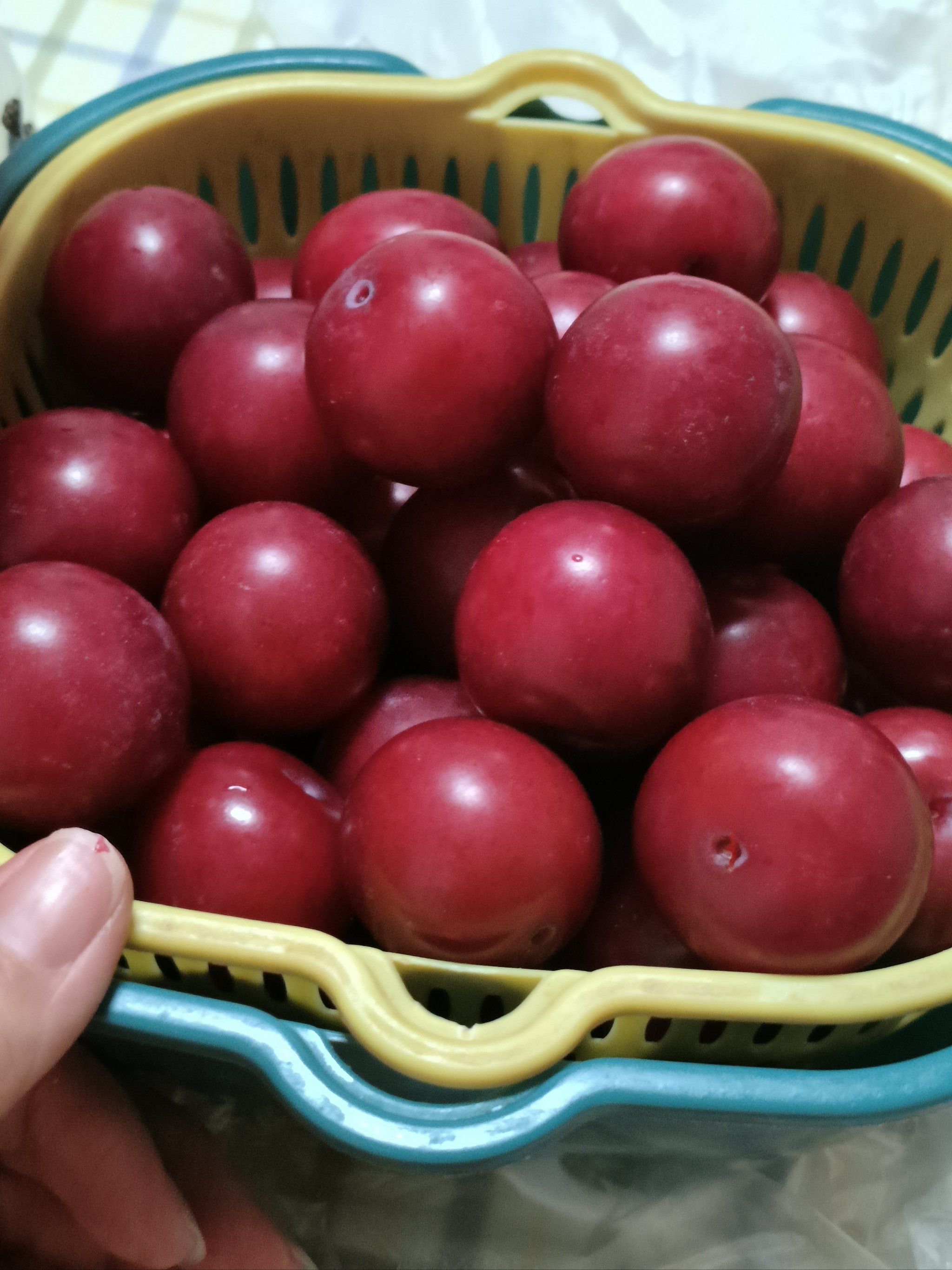 还有老家自己种的红李子