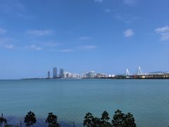 -万绿园