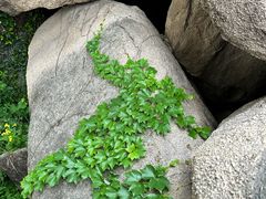 -嵖岈山风景区
