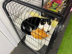 -SAH健身私教工作室(紫东店)