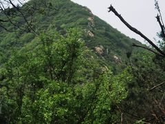-木兰云雾山