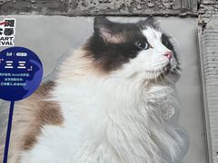 -老城隍庙食品商店(豫园商城店)