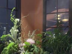-滇野云南野生菌餐厅(陕西南路店)
