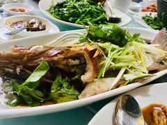 -锦江(Southgate)