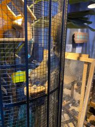 -酷嗒动物文化乐园(cutezoo西溪乐天城店)