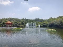 -广州莲花山旅游区