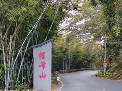 -广州市帽峰山景区