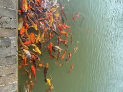 -嬉乐湾休闲旅游区
