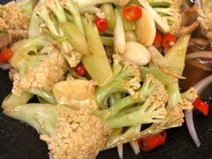 -陈麻婆豆腐总店