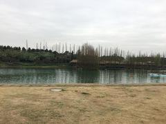 -秀丽东方