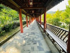 -冶父山国家森林公园