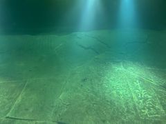 -白鹤梁水下博物馆