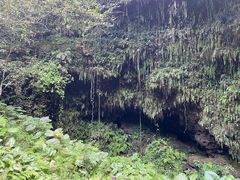 -海口火山口国家地质公园