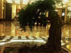 -上海浦东星河湾酒店