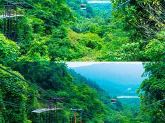 -南丹山森林王国