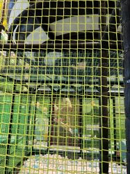 -MELAND CLUB亲子乐园·派对·餐厅(北京芳圆里ID MALL店)