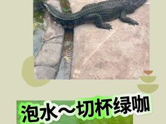 -上海野生动物园
