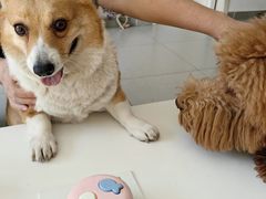 -好利来(团结湖店)