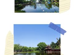 -橘子洲景区