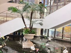 -白天鹅宾馆·月兔吧