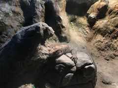 -南昌海洋公园