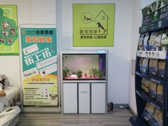 -翊宠yipet猫狗购宠庄园犬舍•猫舍