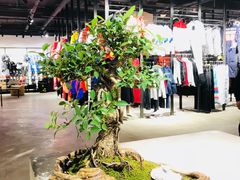 -4+2肆加贰雪具库(上庄店)