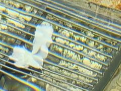 -嘉悦汗蒸时代(曙光路店)