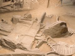 -洛阳周王城天子驾六博物馆