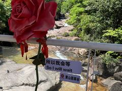-黄山翡翠谷景区