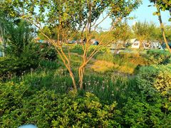 -上海山野camping·户外天幕烧烤·团建拓展营地