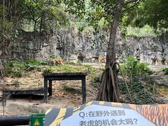 -广州长隆野生动物世界