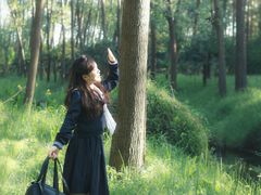 -合肥滨湖国家森林公园