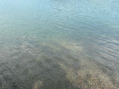 -阳宗海湿地