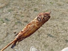 -梁子湖东篱老屋生态庄园