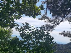 -王顺山国家森林公园