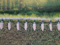 -池杉湖湿地公园