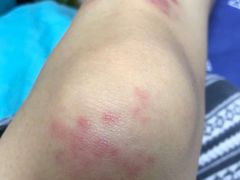 -明月山天沐温泉度假村