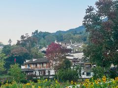 -塔川景区