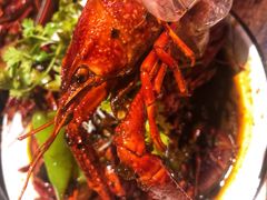 -虾弄弄海派小龙虾·牛羊蝎子火锅