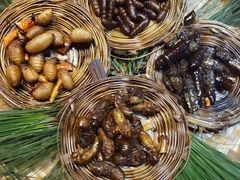 -昆虫窝子·特色云南菜(拓东路总店)
