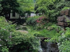 -长广溪湿地公园