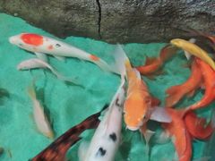 -嘉兴海底世界
