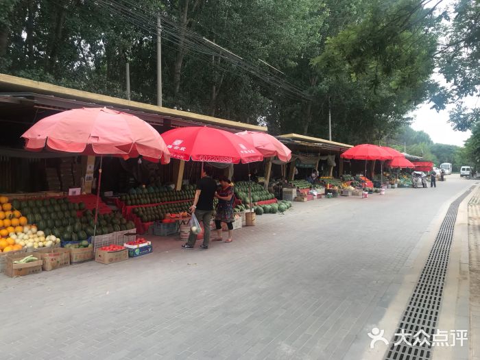 西瓜小镇图片