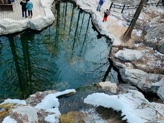 -国家植物园南园