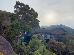 -三亚亚龙湾人间天堂鸟巢度假村