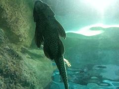 -福州罗源湾海洋世界旅游区