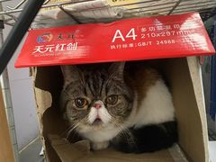 -荣耀金沙动物医院(清江西路店)