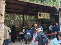 -西双版纳基诺山寨